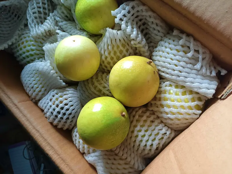 黄金百香果推荐