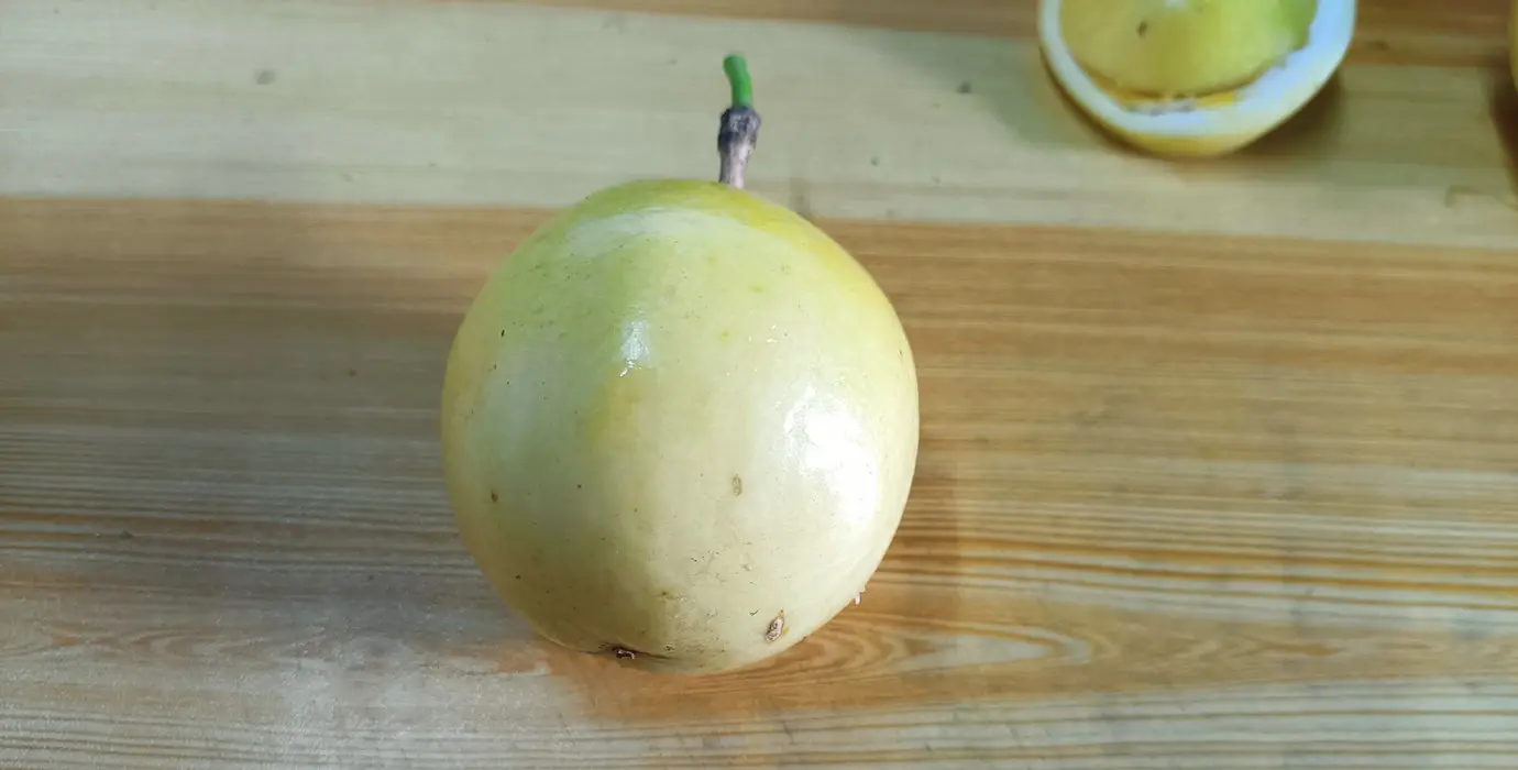 黄金百香果新鲜水果8斤家庭实惠原箱装 果园现摘 坏果包赔 8斤爆汁大满足(广东省发货顺丰包邮)